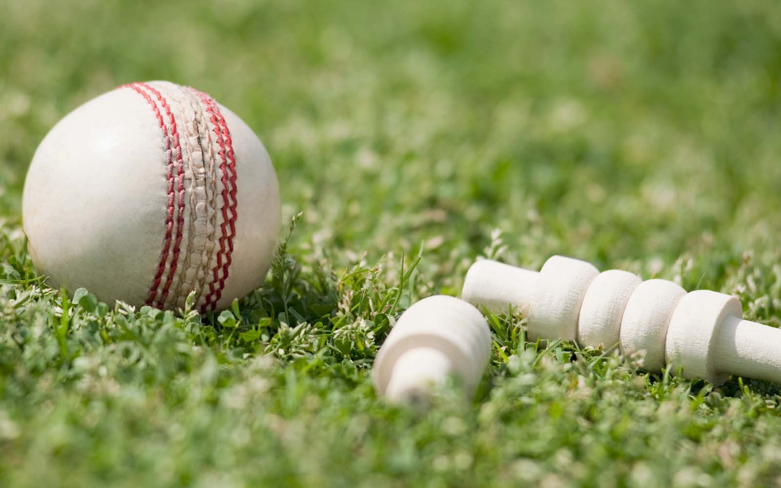 Close up of a T20 cricket ball and wickets. 