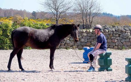 We are showing the love with the BFBS Big Salute by thanking those charities who have done so much for the military community, this is Horseback UK.
