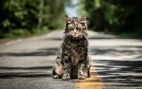 Pet Sematary
