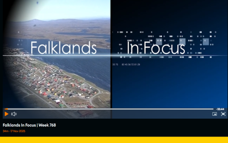 Falklands in Focus