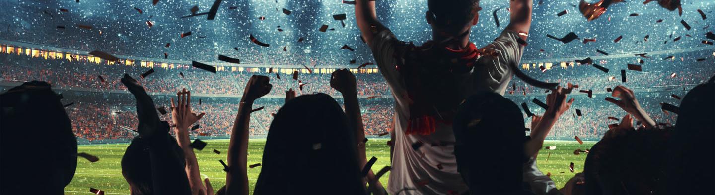 Crowd in a stadium cheering.