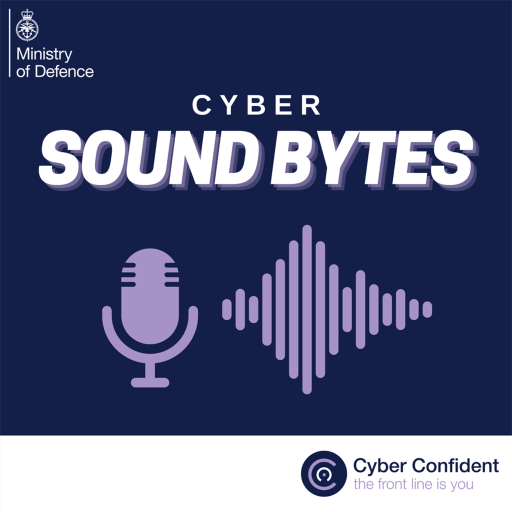 Why am I a Cyber Target?