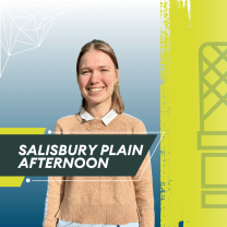 Salisbury Plain Afternoon_520_29180