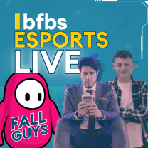 Fall Guys