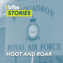 Hoot and roar: 100 years of 84 Squadron