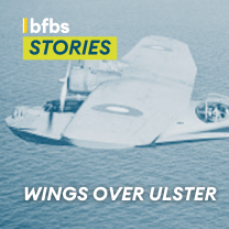 Wings over Ulster