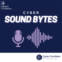 Why am I a Cyber Target?